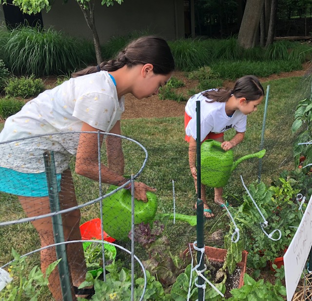 Magic Garden Story & Craft&nbsp;Time